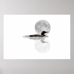 Loon Swims In The Moonlight Poster