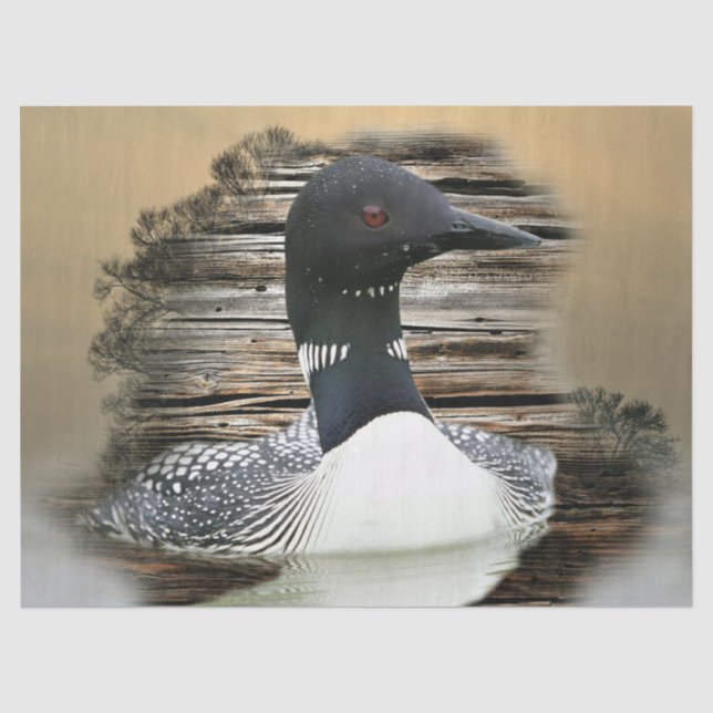 Loon Tissue Paper (Front)