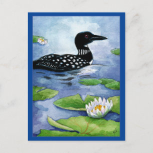 Loon, water fowl, nature, northern lake postcard