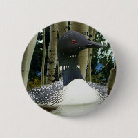Loon Wilderness