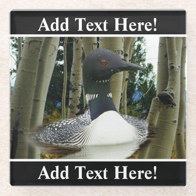 Loon Wilderness Glass Coaster (Front)