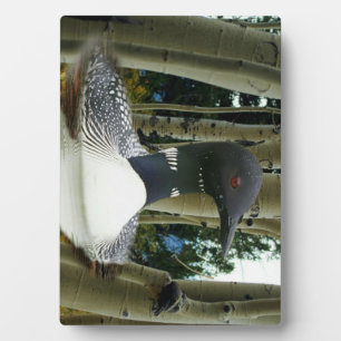 Loon Wilderness Plaque