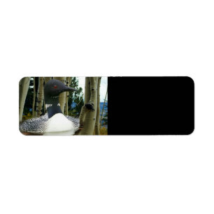 Loon Wilderness Return Address Label