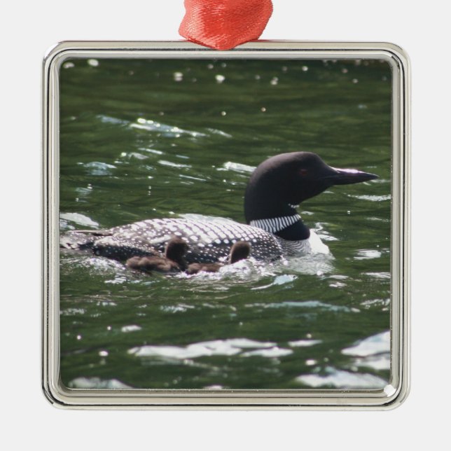 Loon With Babies 2 Metal Ornament (Front)