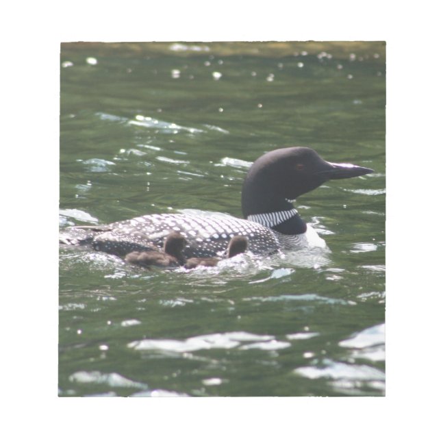 Loon With Babies 2 Notepad (Front)