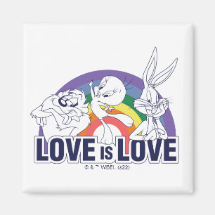 LOONEY TUNES™ - Love Is Love Magnet