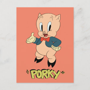 LOONEY TUNES™ Retro Laughs   Porky Pig Postcard