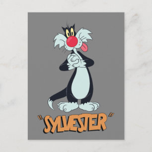 LOONEY TUNES™ Retro Laughs   SYLVESTER™ Postcard