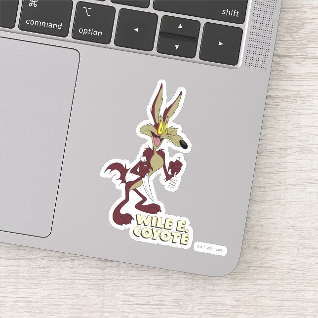 LOONEY TUNES™ Retro Laughs | WILE E. COYOTE™ (Detail)