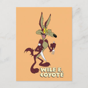 LOONEY TUNES™ Retro Laughs   WILE E. COYOTE™ Postcard