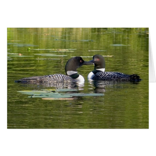 Loons (Front Horizontal)