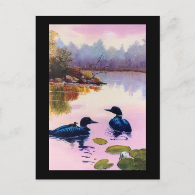 Loons At Twilight Postcard (Front)