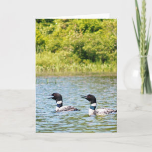Loons Calling the Others Card