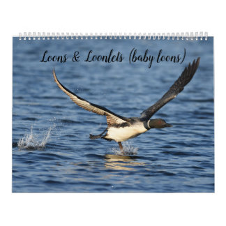 Loons & Loonlets (baby loons) Calendar