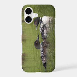 Loons with chicks phone case