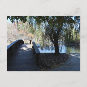 Loose Memorial Park # 17 Postcard