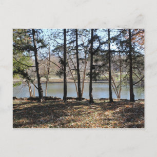 Loose Memorial Park # 1 Postcard