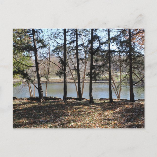 Loose Memorial Park # 1 Postcard (Front)