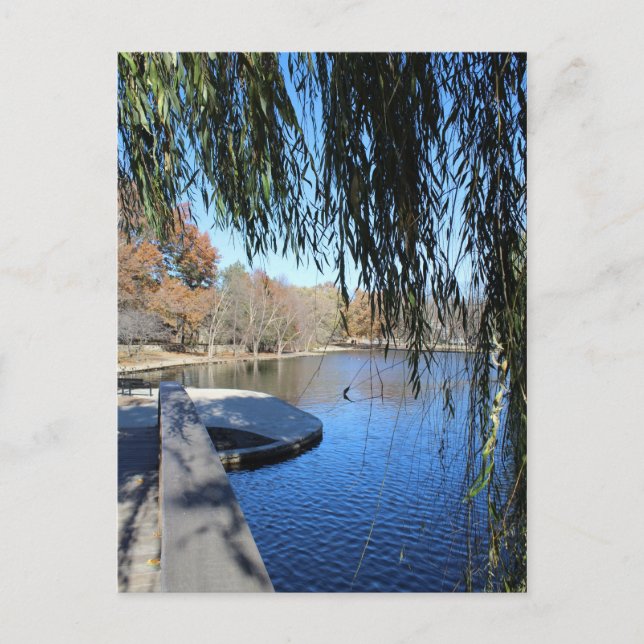 Loose Memorial Park # 20 Postcard (Front)
