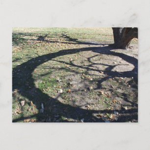 Loose Memorial Park # 21 Postcard