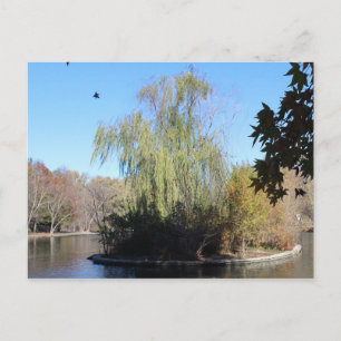 Loose Memorial Park # 38 Postcard