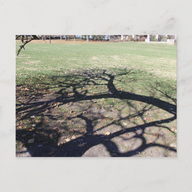 Loose Memorial Park # 4 Postcard (Front)