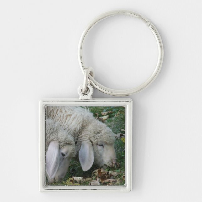 Lop-Eared Alpine Sheep Keychain (Front)