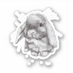 Lop Eared Bunny Rabbit Sketch Mens Womens Children