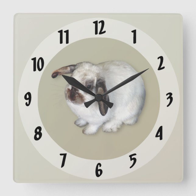 Lop-Eared Bunny Square Wall Clock (Front)