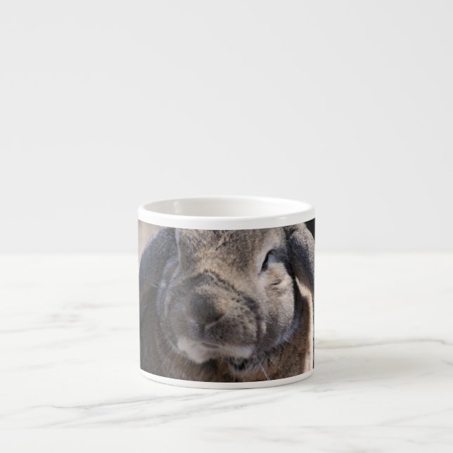 Lop Eared Rabbit Espresso Cup (Front)