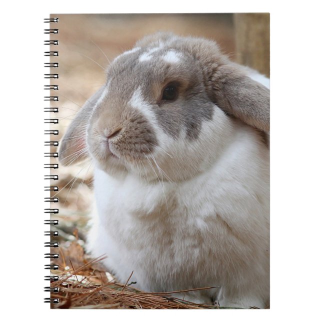 Lop-eared rabbit notebook (Front)