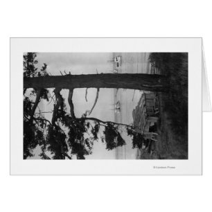 Lopez Island, WA - Fishing Boats In Bay