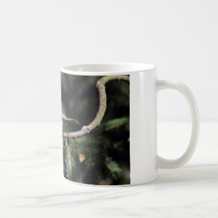 Lophophanes cristatus coffee mug