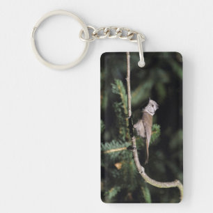 Lophophanes cristatus key ring
