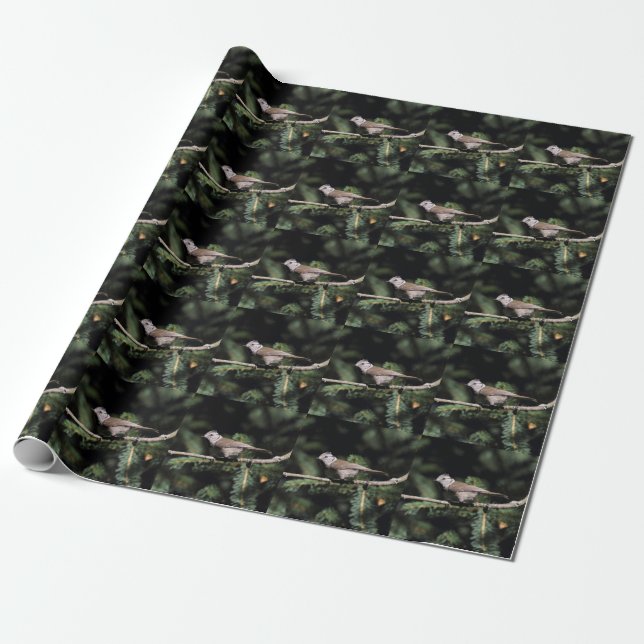 Lophophanes cristatus wrapping paper (Unrolled)