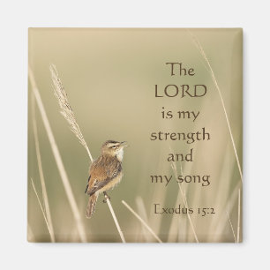 Lord is my Strength & Song Scripture Song Bird Magnet