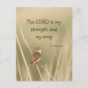 Lord is my Strength & Song Scripture Song Bird  Postcard
