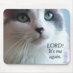 Lord, It's me again Praying Cat Meme Mouse Pad