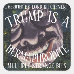 LORD KITCHENER CONFIRMED TRUMP IS A HERMAPHRODITE SQUARE STICKER