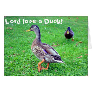 Lord love a Duck! Card