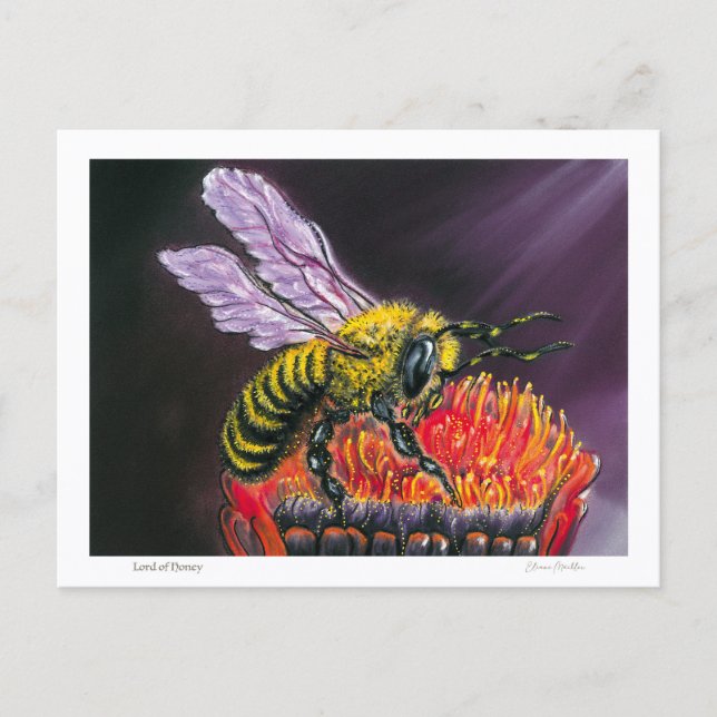 Lord of Honey Postcard (Front)