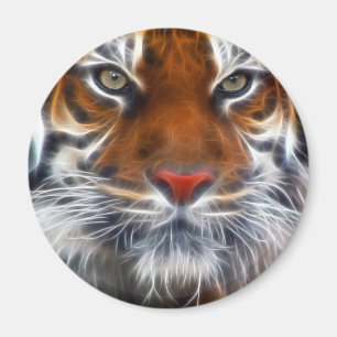 Lord of the Indian Jungles, The Royal Bengal Tiger Magnet