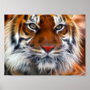 Lord of the Indian Jungles, The Royal Bengal Tiger Poster