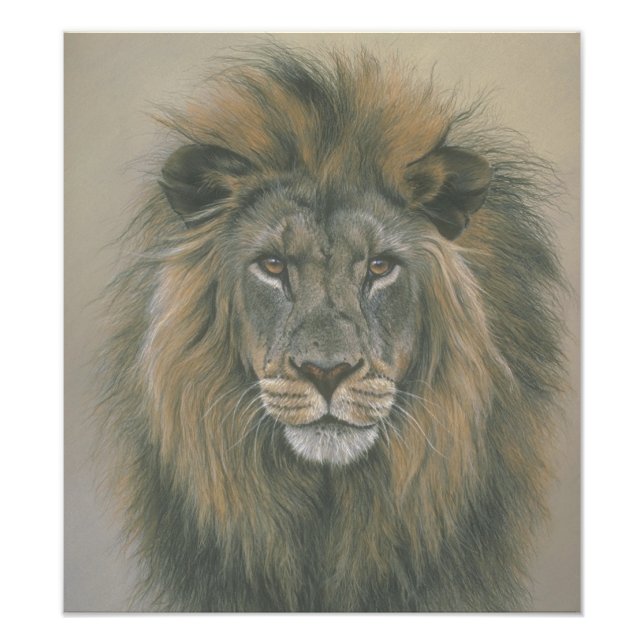 Lord of the Jungle Lion Poster (Front)