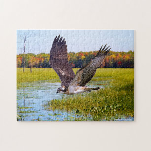 "Lord Of The Marsh" Puzzle