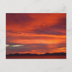 Loreto Sunrise Postcard
