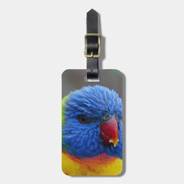 Lori_2015_0203 Luggage Tag (Front Vertical)