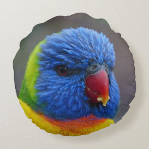 Lori_2015_0203 Round Cushion