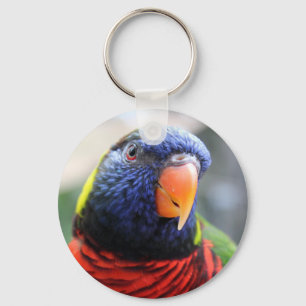 Lorikeet Keychain