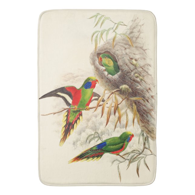 Lorikeet Parrot Birds Wildlife Animals Bath Mat (Front Vertical)